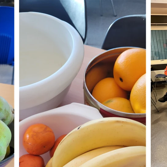 2025%20Bilde%20Helse%20og%20sikkerhetsuke_Agder